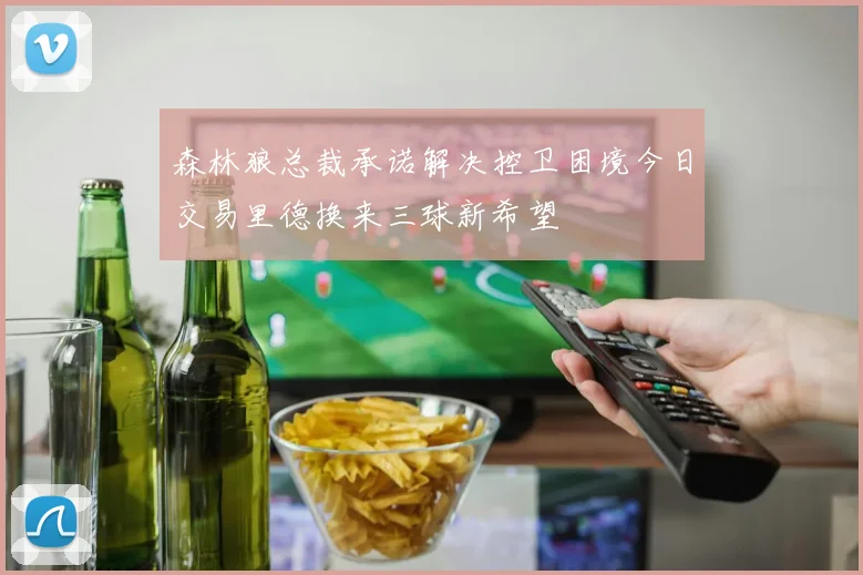 森林狼总裁承诺解决控卫困境今日交易里德换来三球新希望